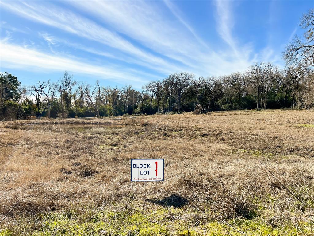 TBD Broadway Street, Jewett, Texas image 12