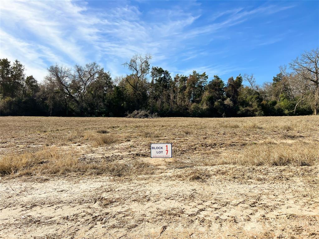 TBD Broadway Street, Jewett, Texas image 18