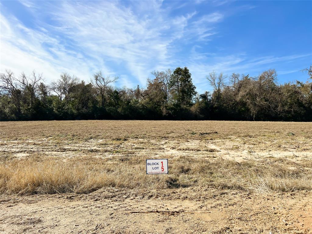 TBD Broadway Street, Jewett, Texas image 16