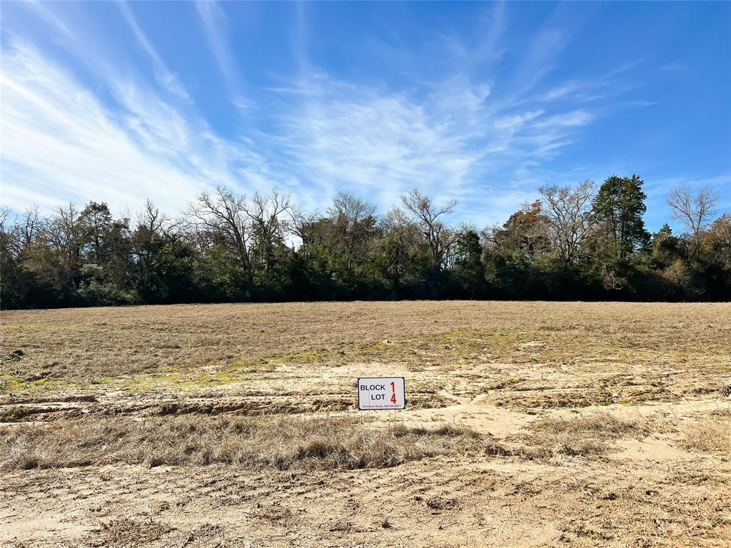 TBD Broadway Street, Jewett, Texas image 15