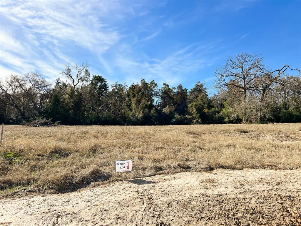 TBD Broadway Street, Jewett, Texas image 19