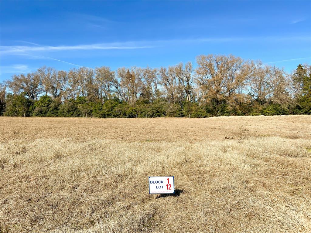 TBD Broadway Street, Jewett, Texas image 10