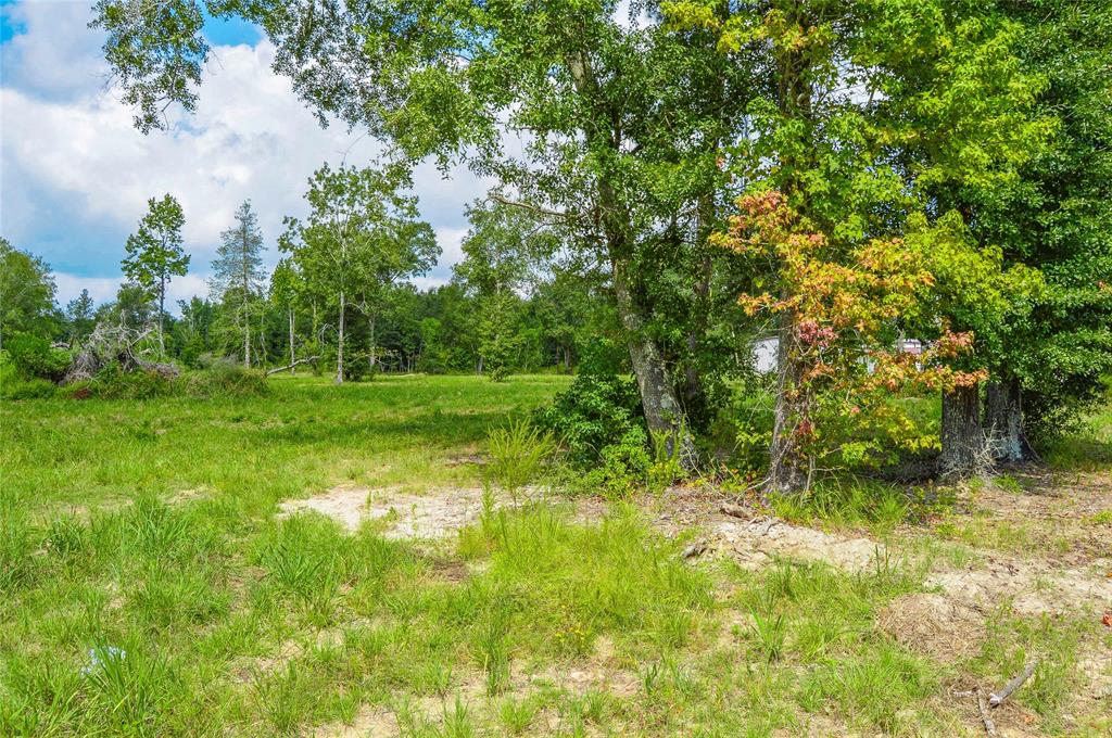 2.24 AC Hwy 321, Cleveland, Texas image 6