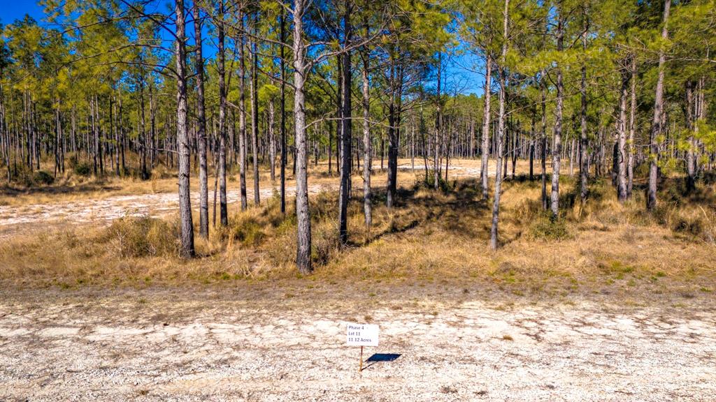 0411 Wells Landing Road, Onalaska, Texas image 9