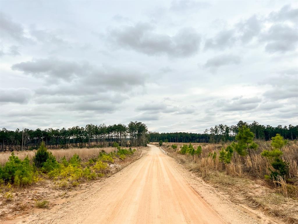 00000 Hardin Hideout Rd, Moscow, Texas image 3