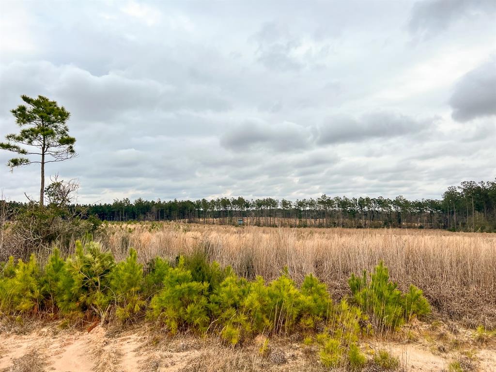 00000 Hardin Hideout Rd, Moscow, Texas image 6