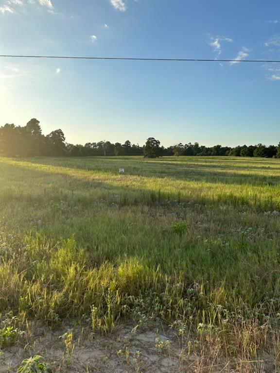 Lot 46 Pr 1315, Centerville, Texas image 7