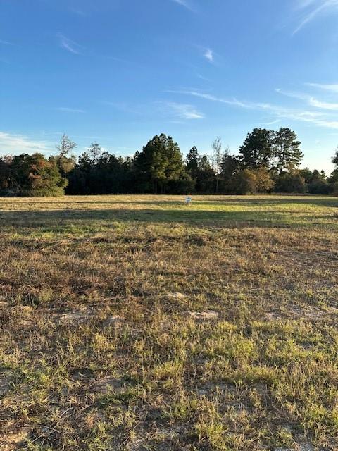 Lot 46 Pr 1315, Centerville, Texas image 2
