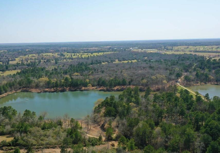 Lot 46 Pr 1315, Centerville, Texas image 4