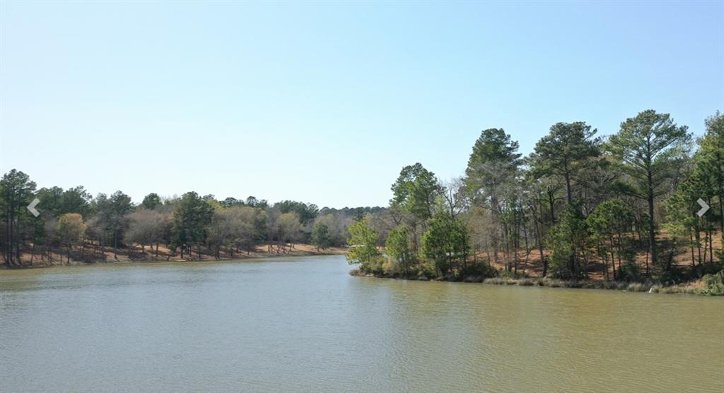 Lot 46 Pr 1315, Centerville, Texas image 6