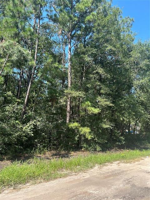 Photo of TBD Southland Circle, Livingston, TX 77351 (MLS # 3664132)
