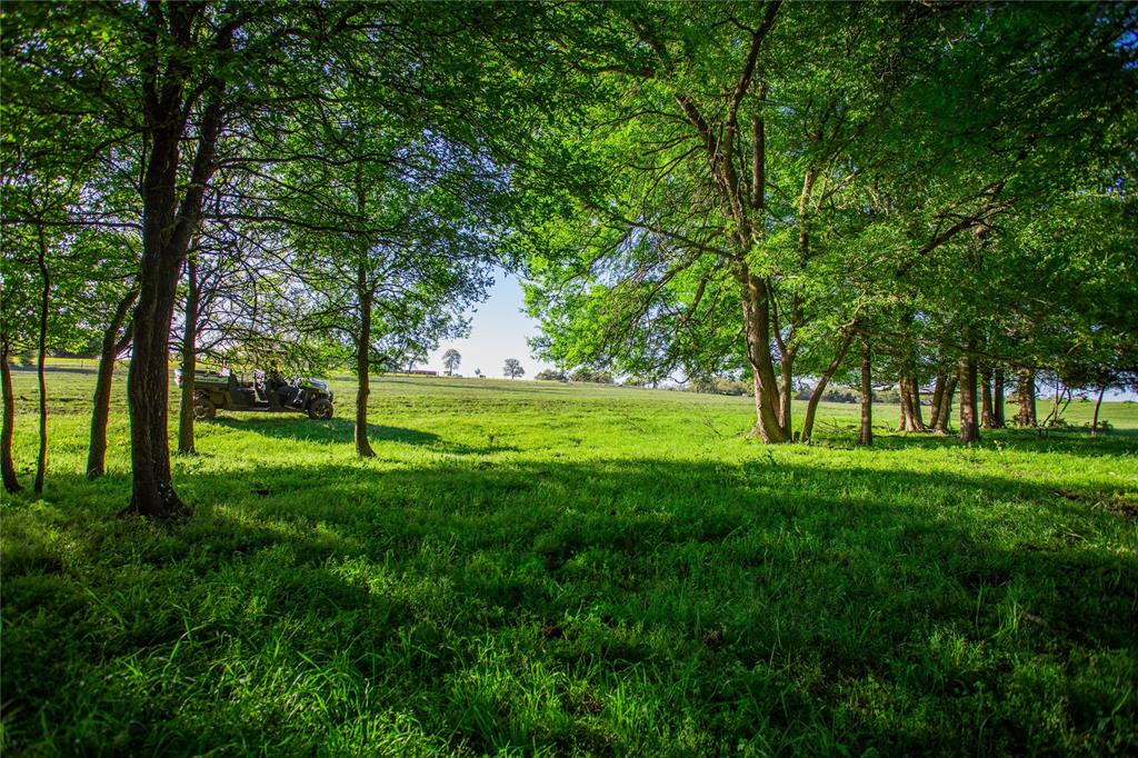 278 Cistern Road, Rosanky, Texas image 20