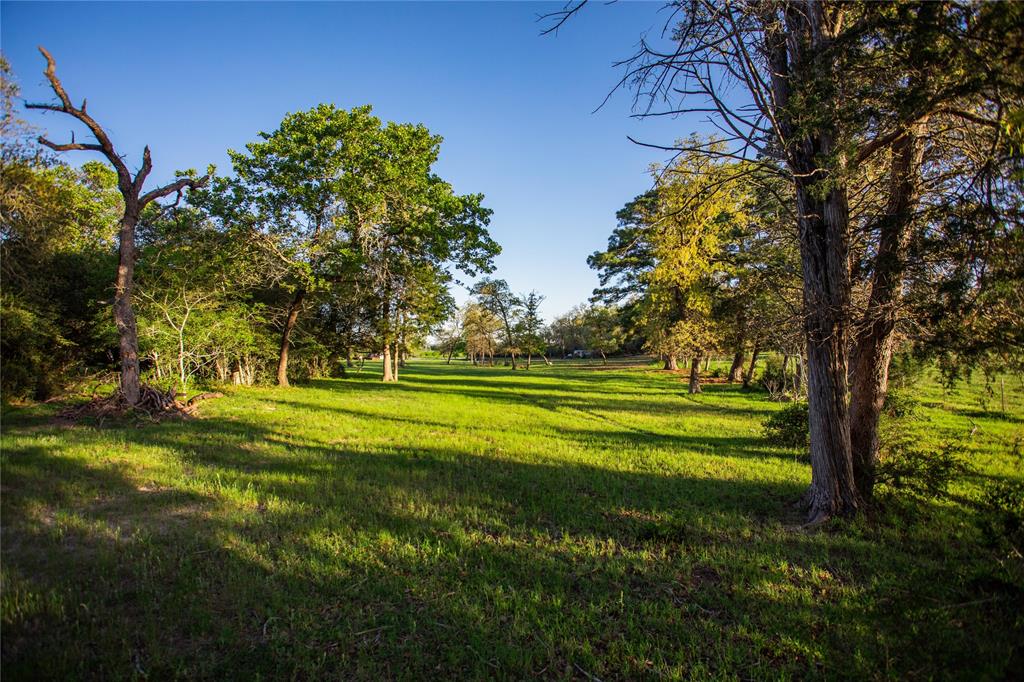 278 Cistern Road, Rosanky, Texas image 17