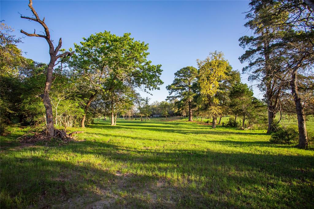 278 Cistern Road, Rosanky, Texas image 16