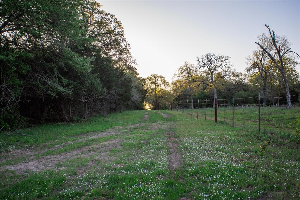 278 Cistern Road, Rosanky, Texas image 11