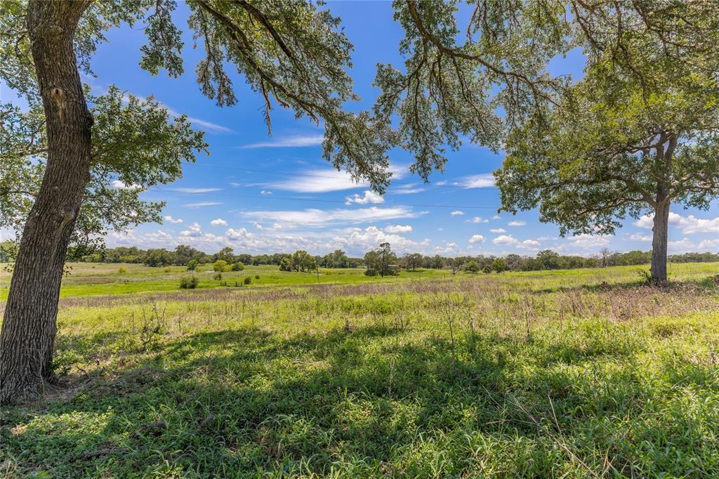 LOT 8 Mill Creek Ranch Road, New Ulm, Texas image 2