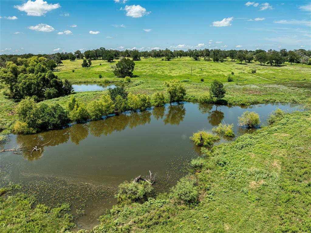 LOT 8 Mill Creek Ranch Road, New Ulm, Texas image 12