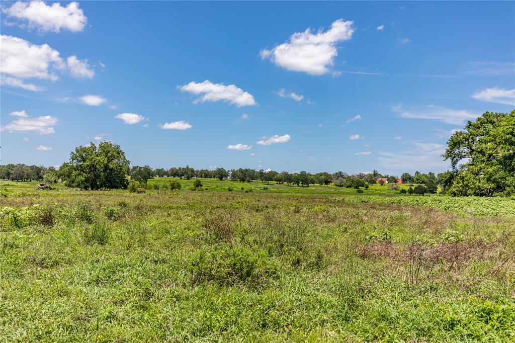 LOT 8 Mill Creek Ranch Road, New Ulm, Texas image 8