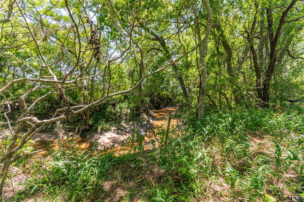 LOT 8 Mill Creek Ranch Road, New Ulm, Texas image 7