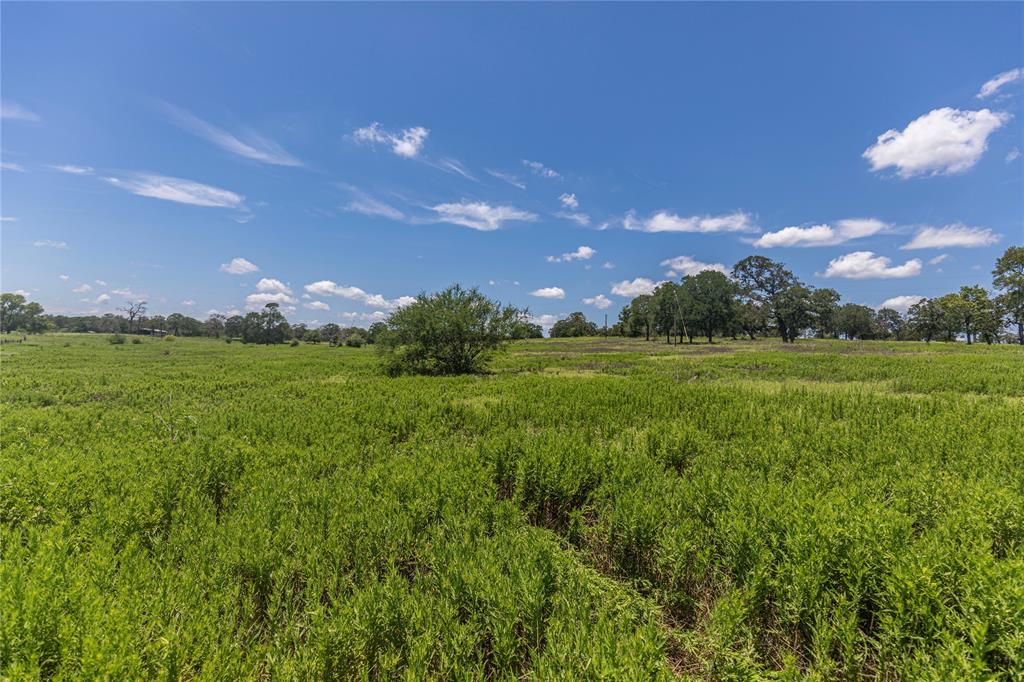 LOT 8 Mill Creek Ranch Road, New Ulm, Texas image 4