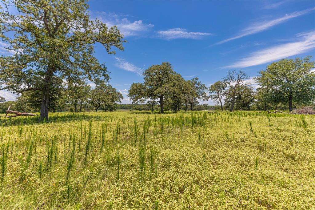 LOT 8 Mill Creek Ranch Road, New Ulm, Texas image 5