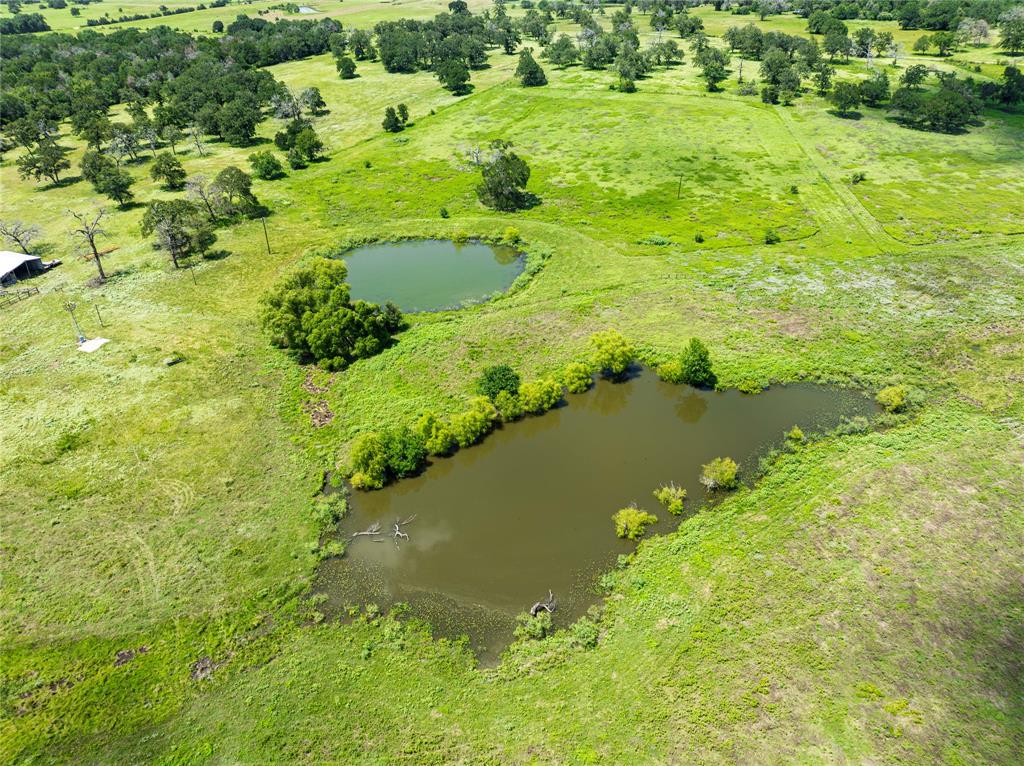 LOT 8 Mill Creek Ranch Road, New Ulm, Texas image 15