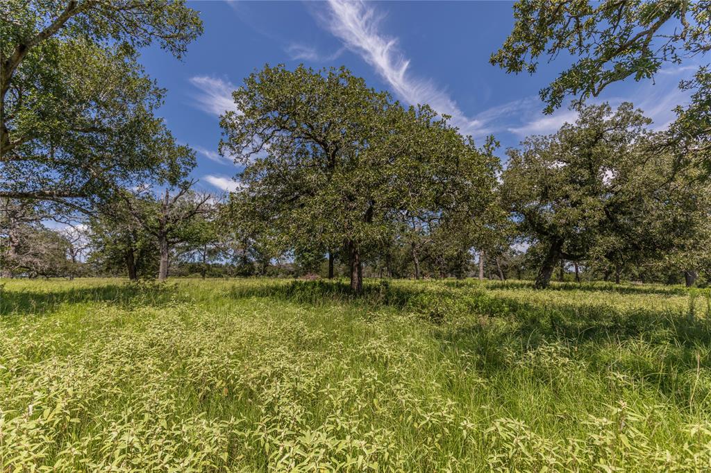 LOT 8 Mill Creek Ranch Road, New Ulm, Texas image 10