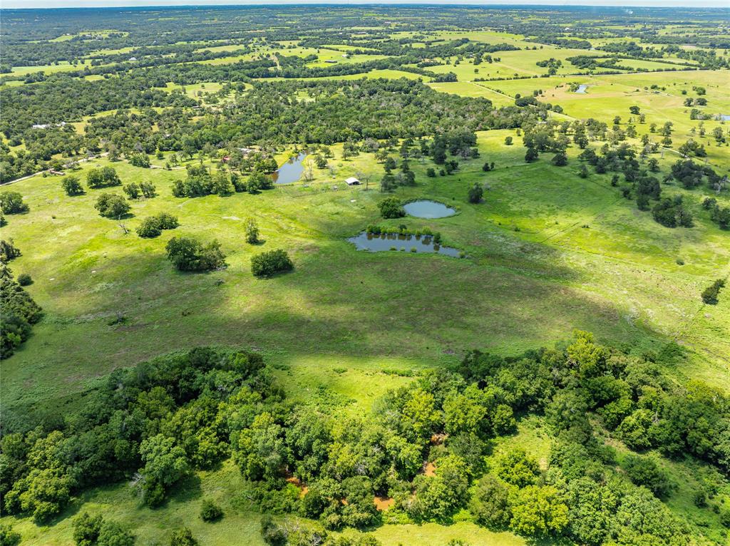 LOT 8 Mill Creek Ranch Road, New Ulm, Texas image 14