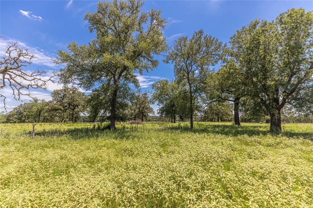 LOT 8 Mill Creek Ranch Road, New Ulm, Texas image 11