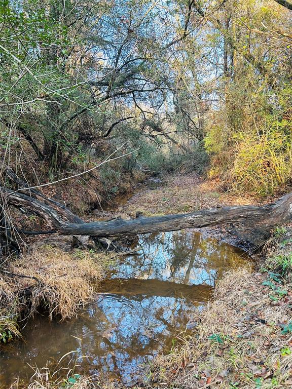 23AC Fcr 770, Buffalo, Texas image 14