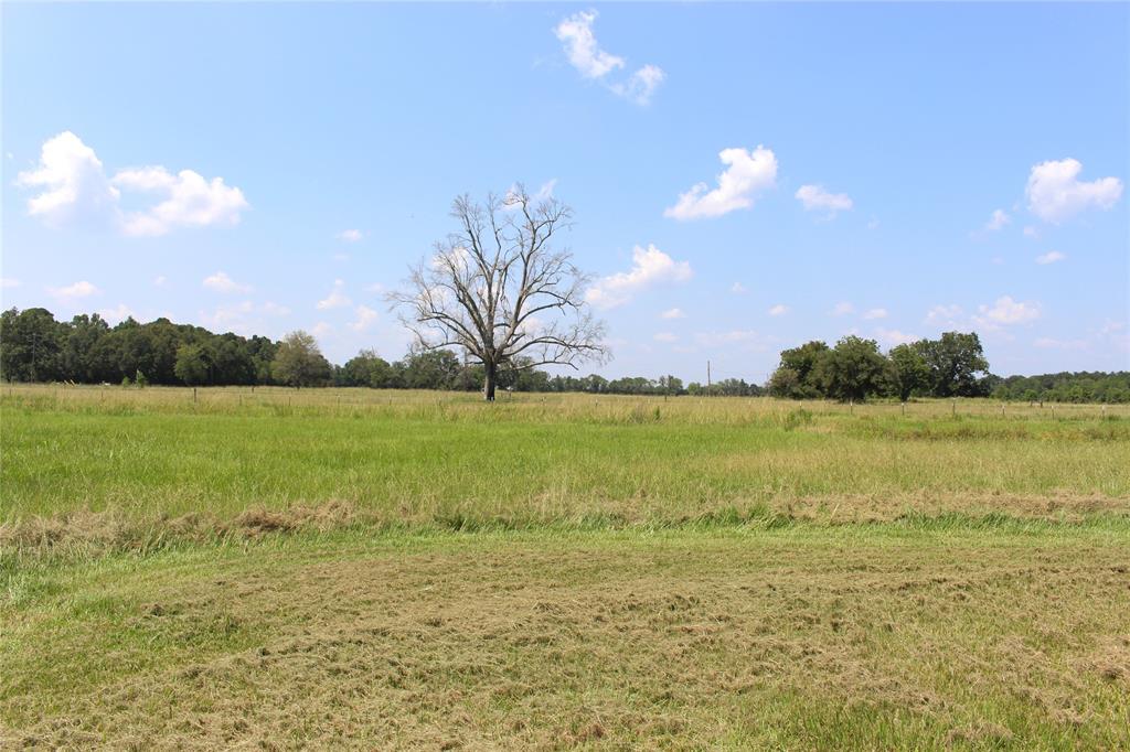 1585 County Road 2066, Hull, Texas image 13