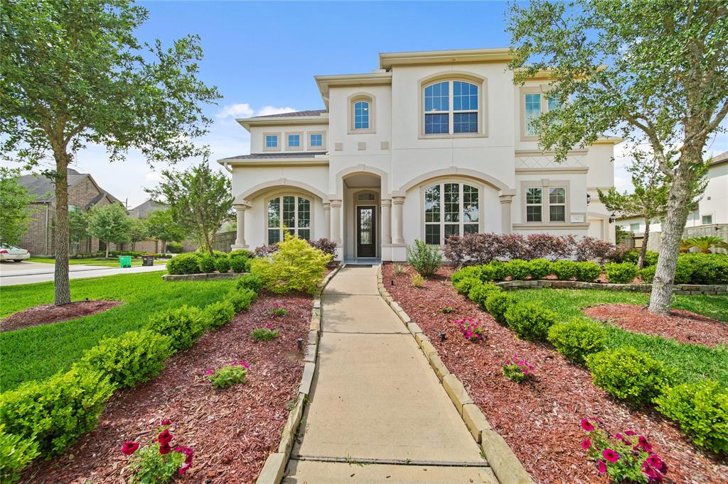9814 Mount Whitney, Missouri City, Texas image 1