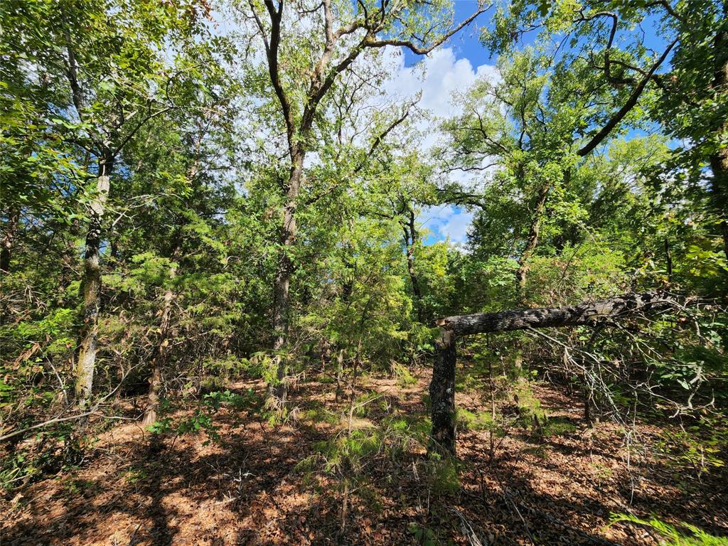 County Road 4710 Lot 465, Larue, Texas image 42