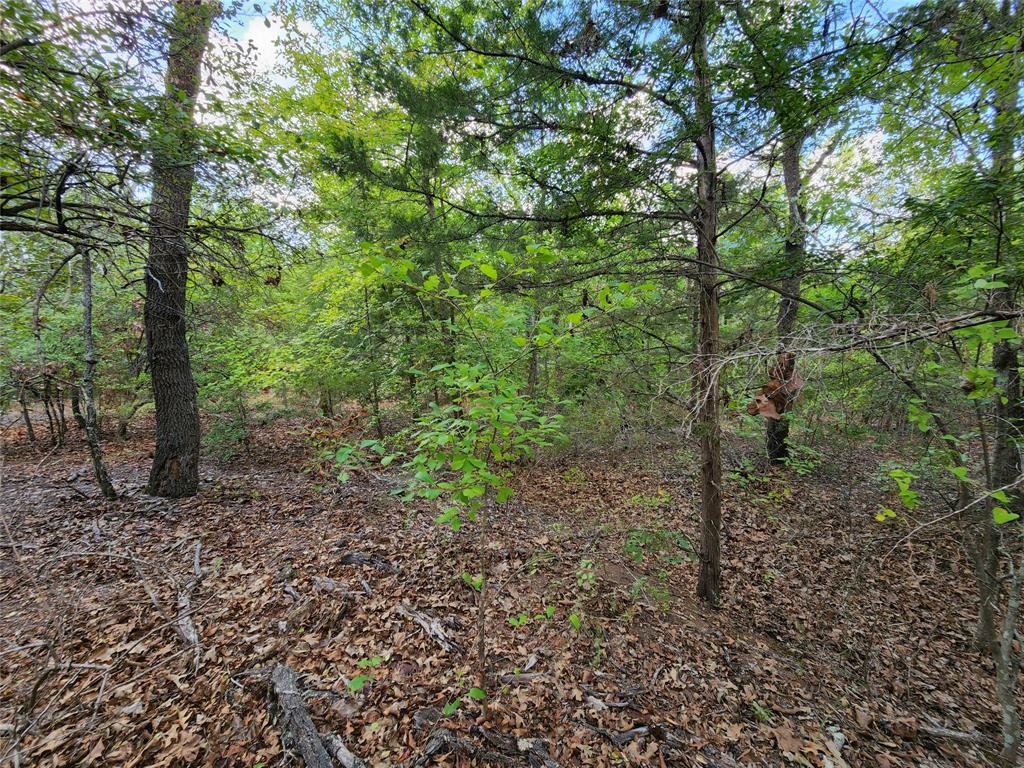 County Road 4710 Lot 465, Larue, Texas image 12