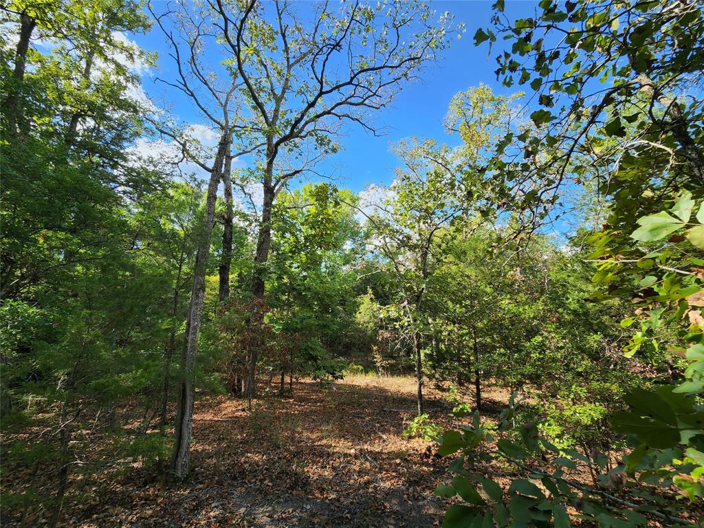 County Road 4710 Lot 465, Larue, Texas image 22