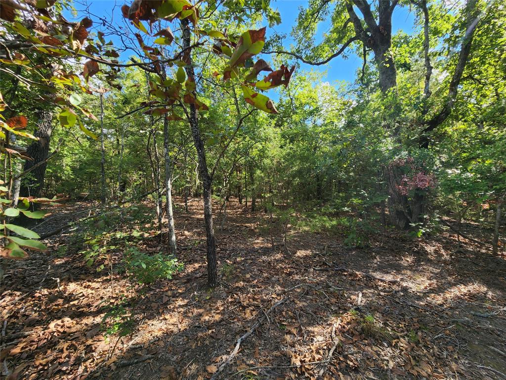 County Road 4710 Lot 465, Larue, Texas image 31