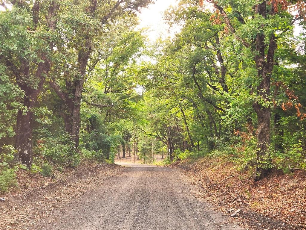 County Road 4710 Lot 465, Larue, Texas image 1