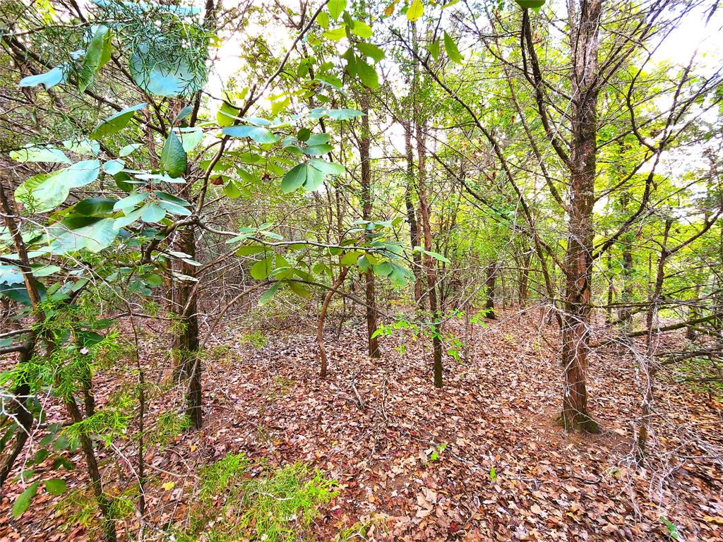 County Road 4710 Lot 465, Larue, Texas image 6