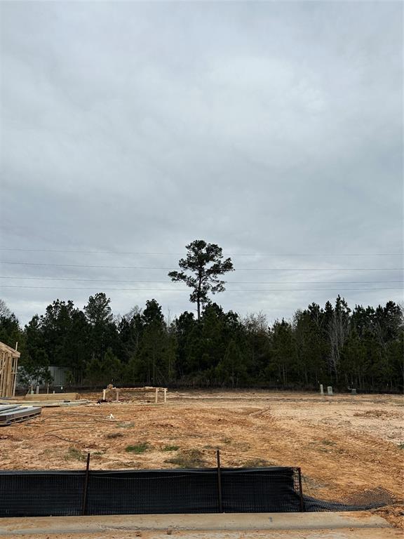 1057 Shoal Creek Trail, Conroe, Texas image 3