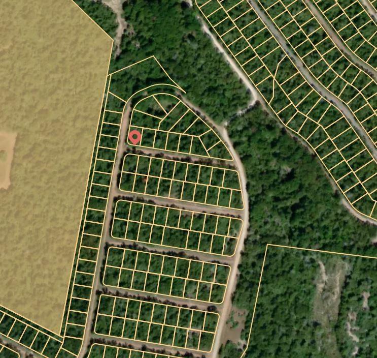 Lot 1 Travis Lane, Normangee, Texas image 3