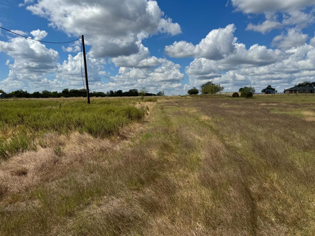 21193 Fm 244, Iola, Texas image 3