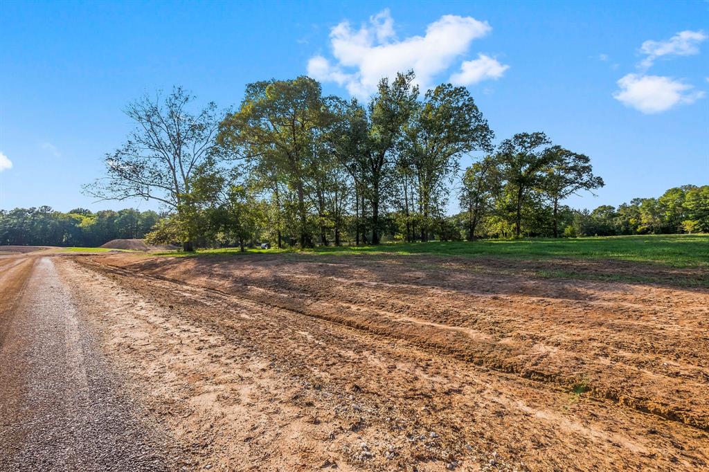 Lot 9 Alans Memorial Lane, New Waverly, Texas image 1