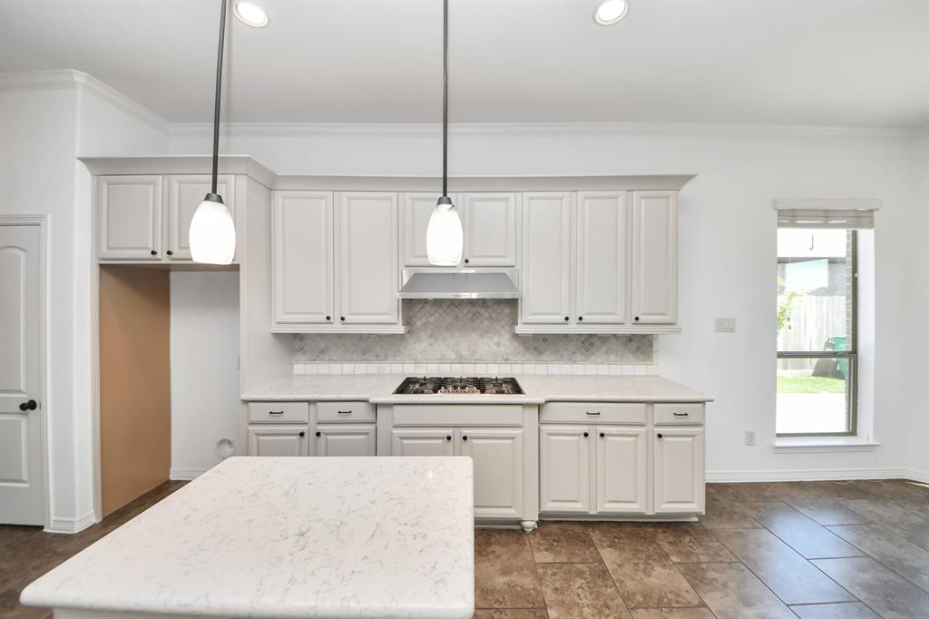 3507 Antelope Creek Lane, Katy, Texas image 11