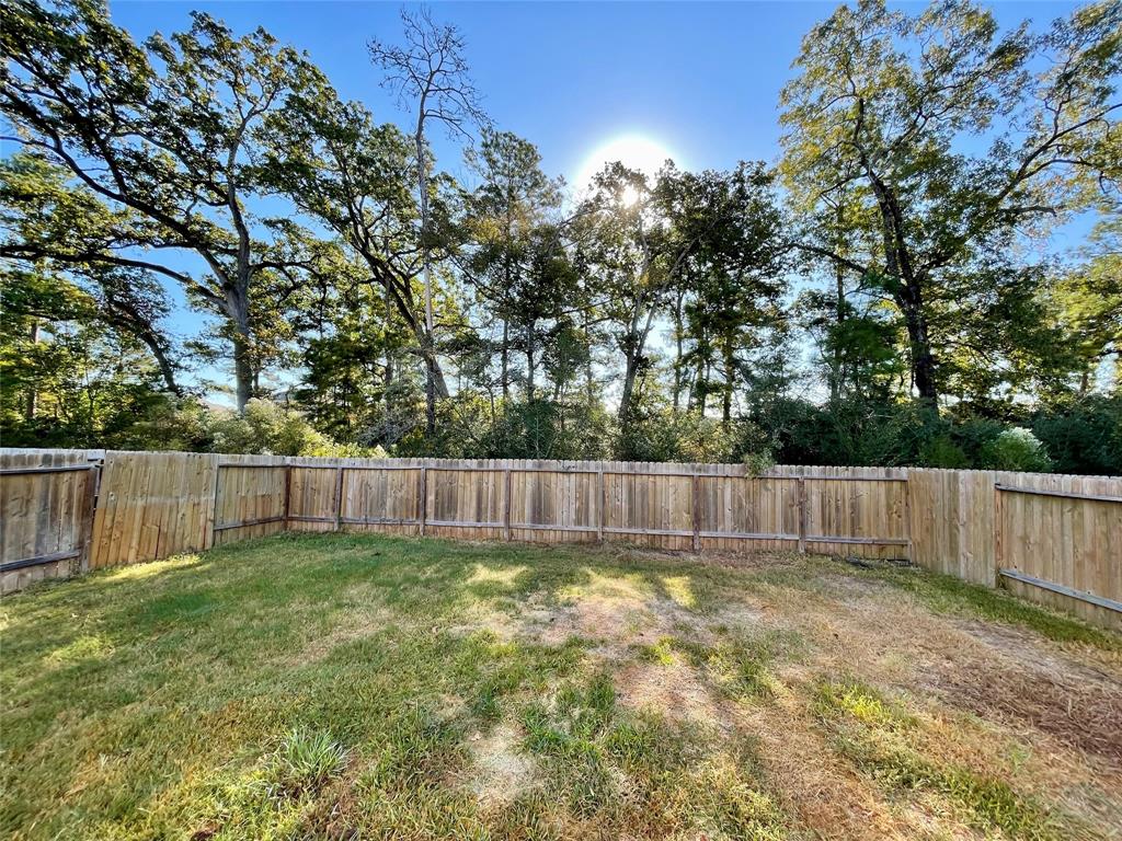 23071 Bellini Drive, Magnolia, Texas image 27