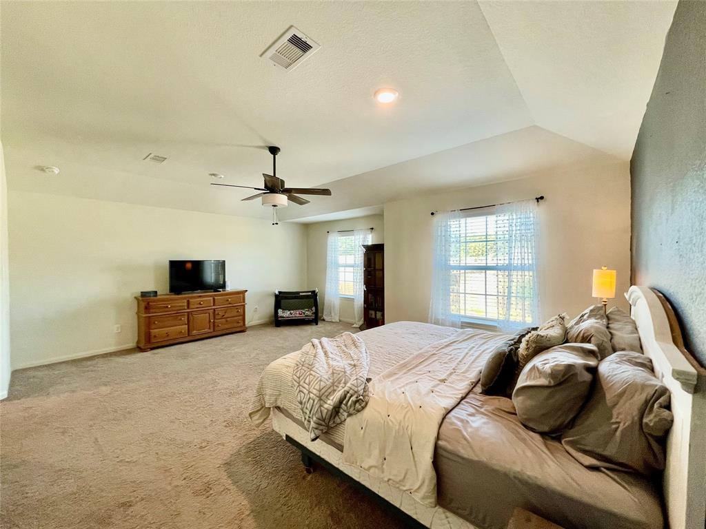 23071 Bellini Drive, Magnolia, Texas image 13