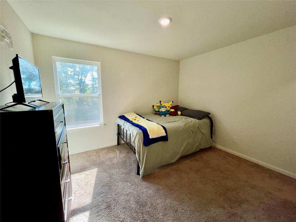 23071 Bellini Drive, Magnolia, Texas image 18