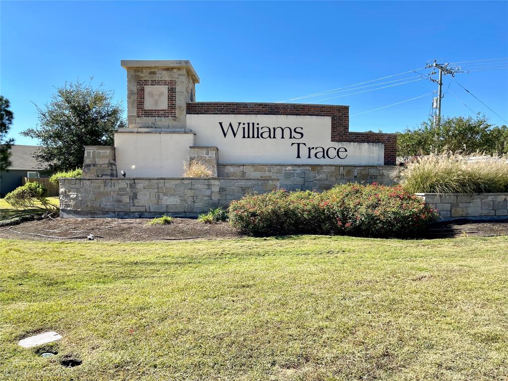 23071 Bellini Drive, Magnolia, Texas image 28