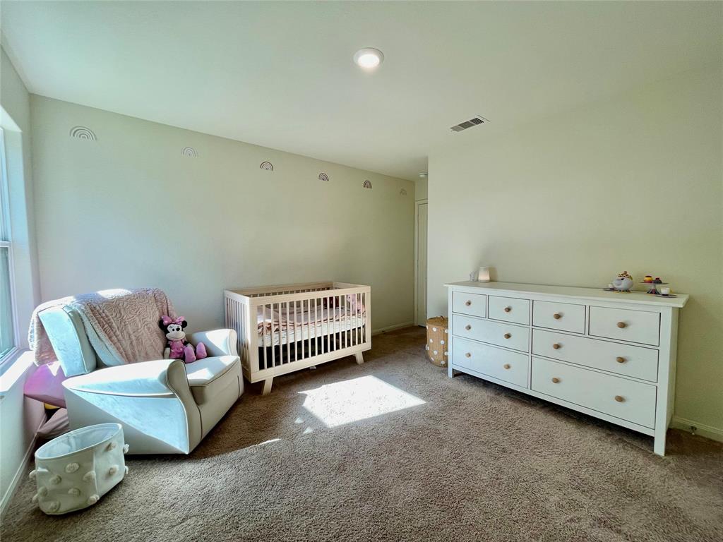 23071 Bellini Drive, Magnolia, Texas image 20