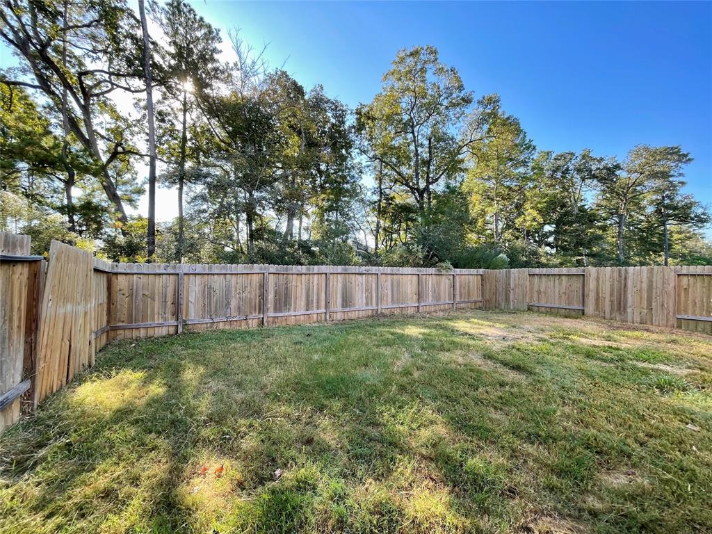 23071 Bellini Drive, Magnolia, Texas image 26