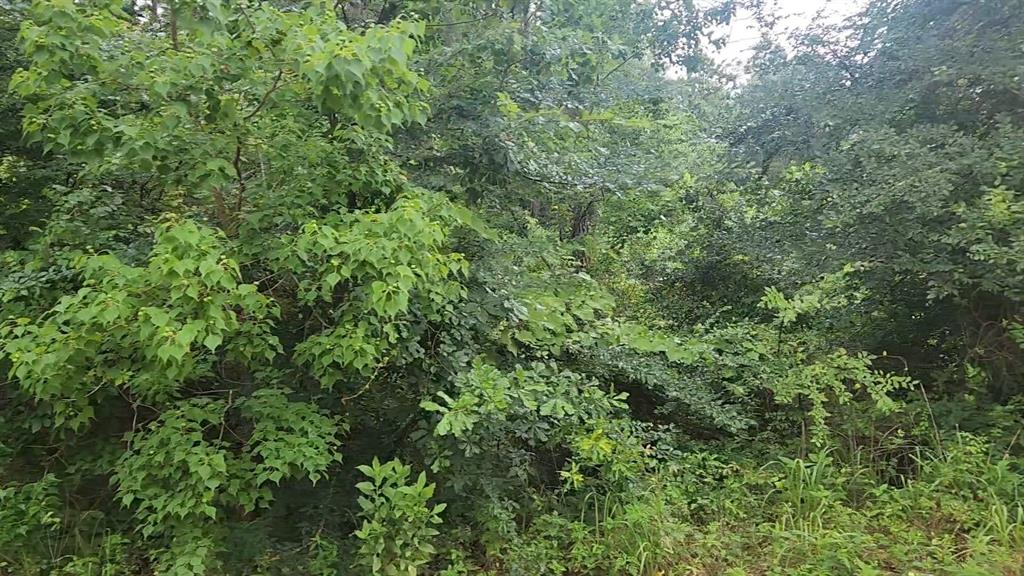 Lot 8 Walnut Tree Lane